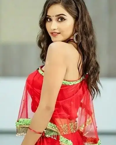 Call Girls Service Vijainagar